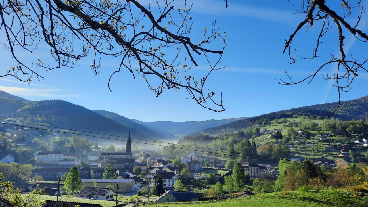 Gite Des 3 Jonquilles Saint-Maurice-sur-Moselle Exteriör bild
