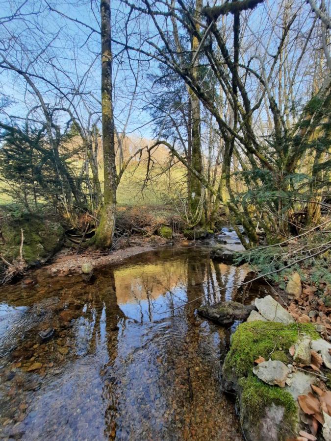 Gite Des 3 Jonquilles Saint-Maurice-sur-Moselle Exteriör bild